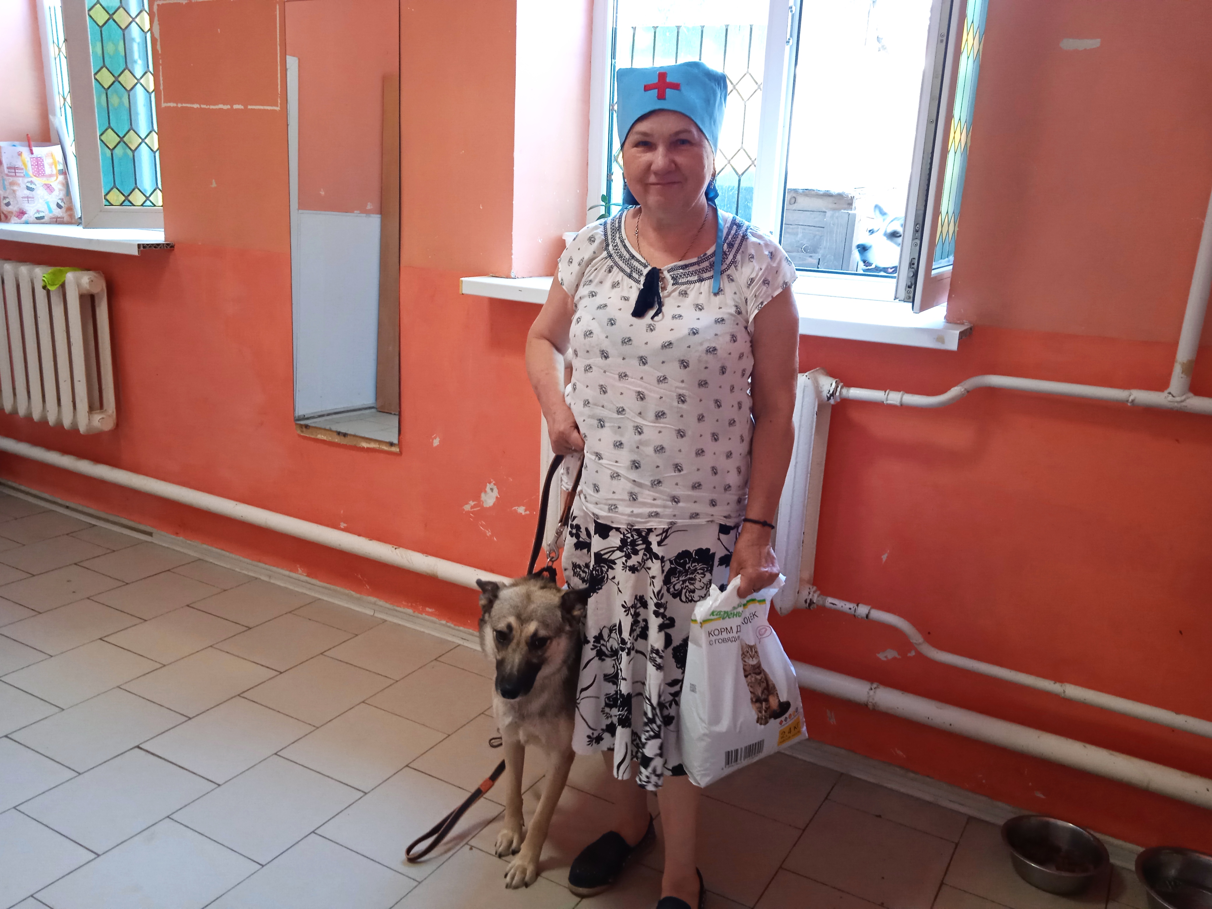 Сёстры милосердия вновь оказали помощь питомнику для бездомных животных