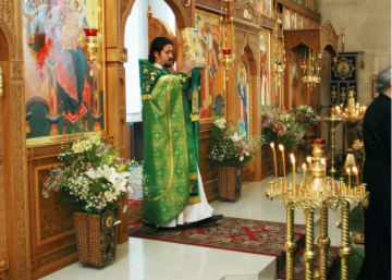 Праздник Троицы. 2009 г.