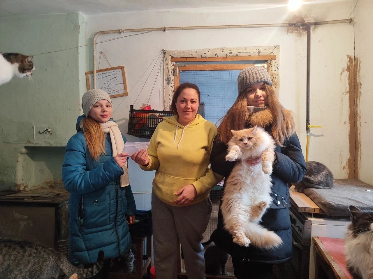Усилиями приходских волонтёров организован и проведён сбор помощи для приюта для бездомных животных (г.Луганск)